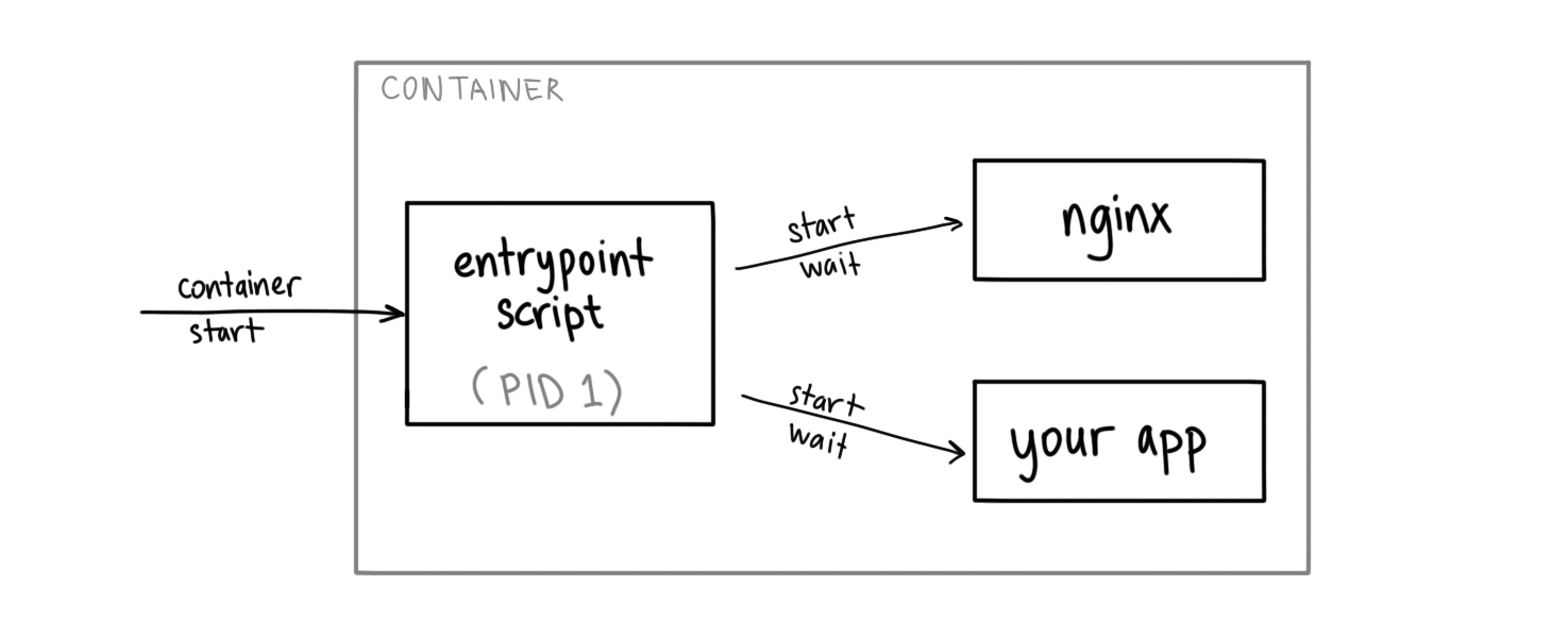 diagram showing container with a script as the entrypoint starting nginx anduser application